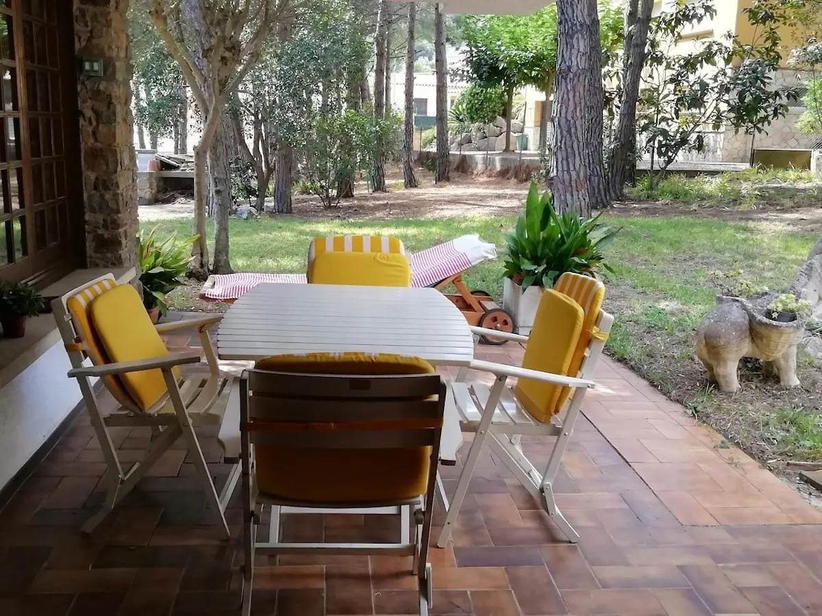 House With A Large Garden And A Pool Villa Calonge  Tatil Evi